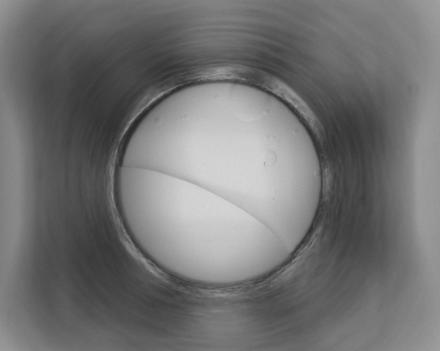 X0000113080994200908280943