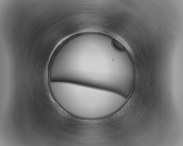 X0000113080996200908280943