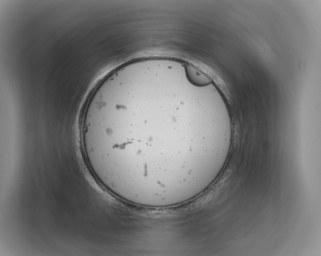 X0000113080998200908280943