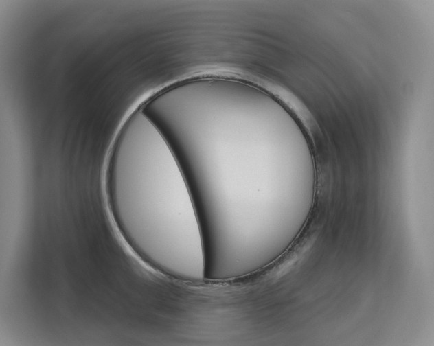 X0000113080999200908280943