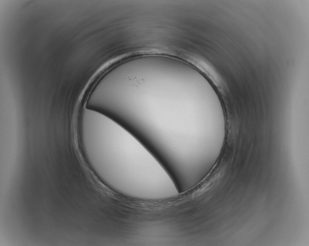 X0000113081000200908280943