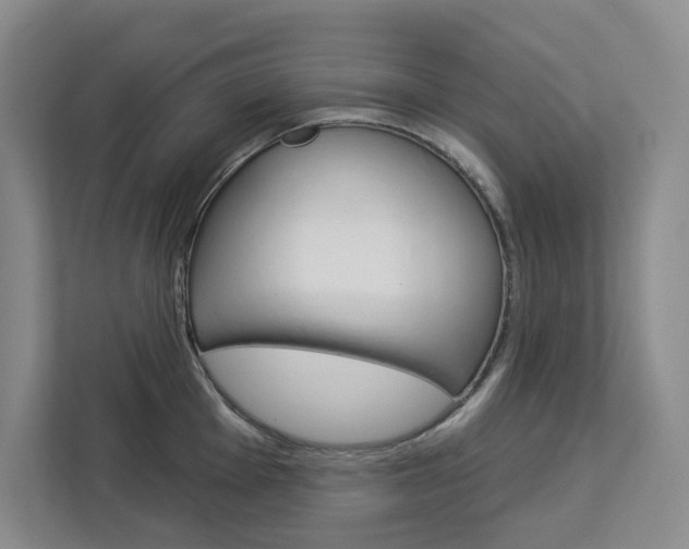 X0000113081001200908280943