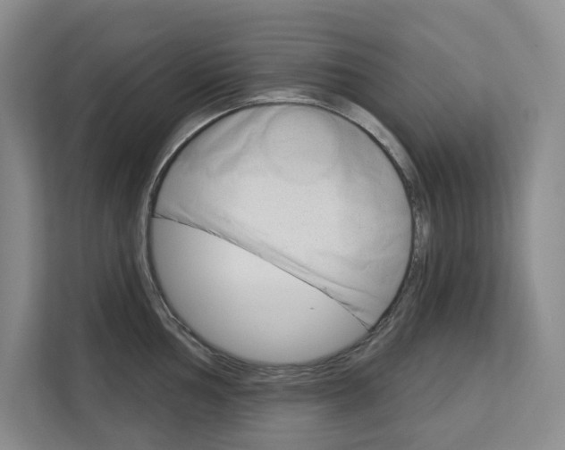X0000113081002200908280943