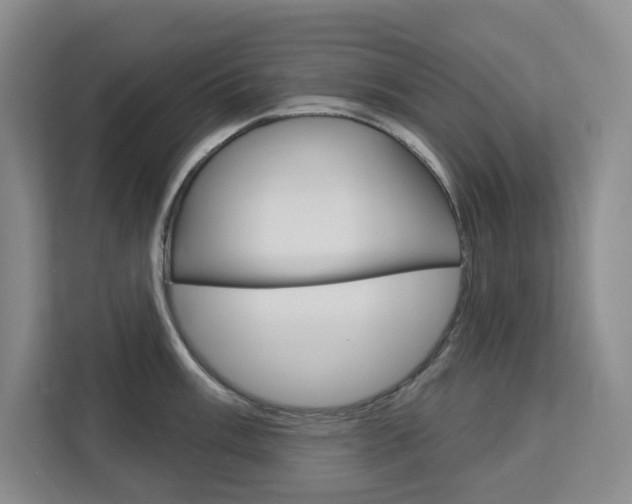 X0000113081003200908280943