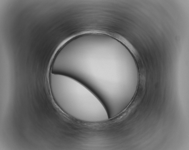 X0000113081004200908280943