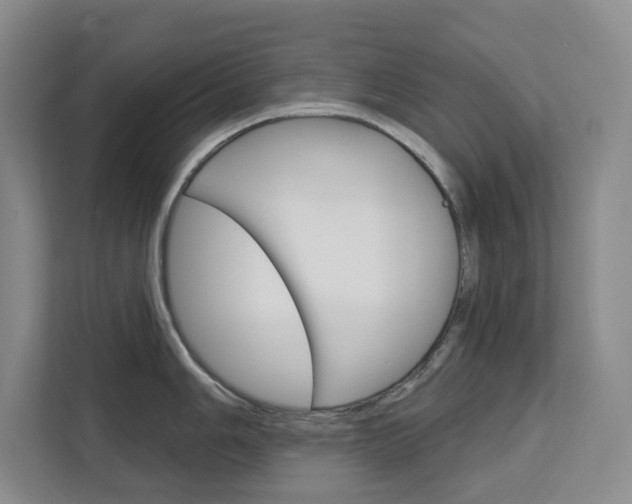 X0000113081006200908280943