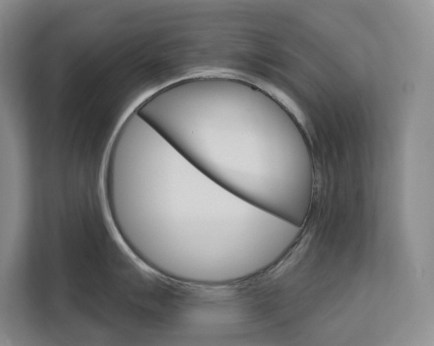 X0000113081007200908280943