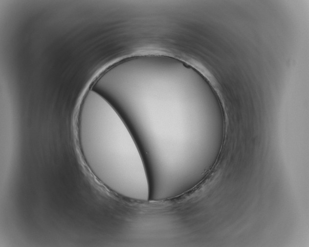 X0000113081008200908280943