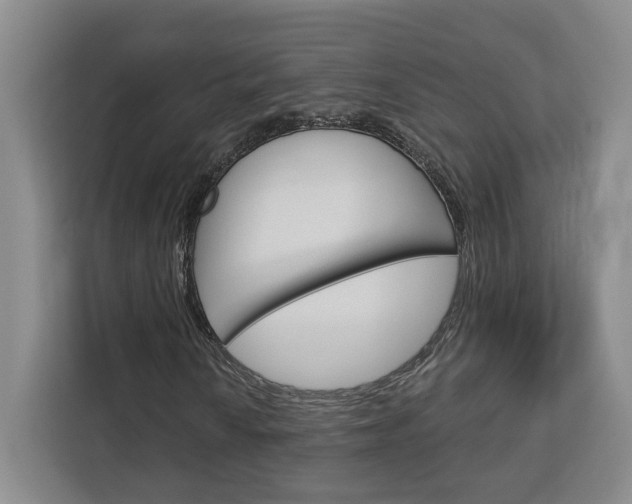 X0000113081010200908280943