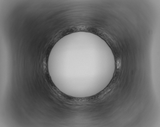 X0000113081011200908280943