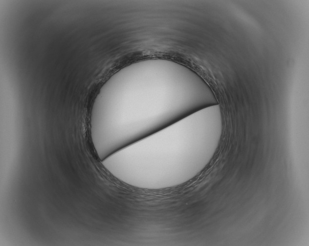 X0000113081012200908280943