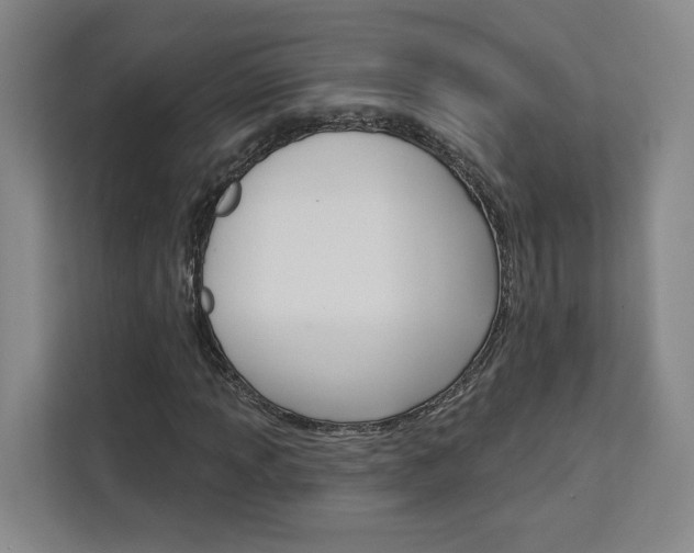 X0000113081013200908280943