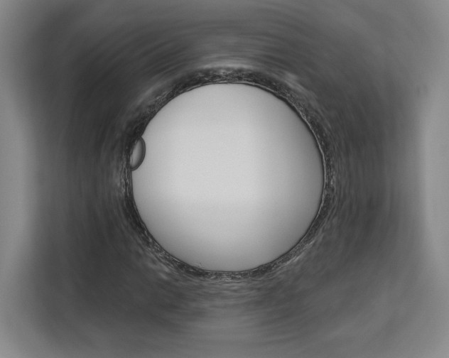 X0000113081014200908280943