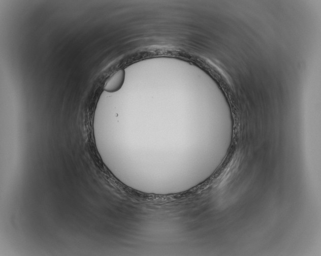 X0000113081015200908280943