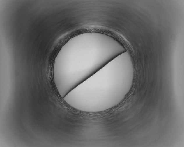 X0000113081016200908280943