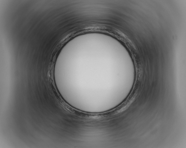 X0000113081017200908280943