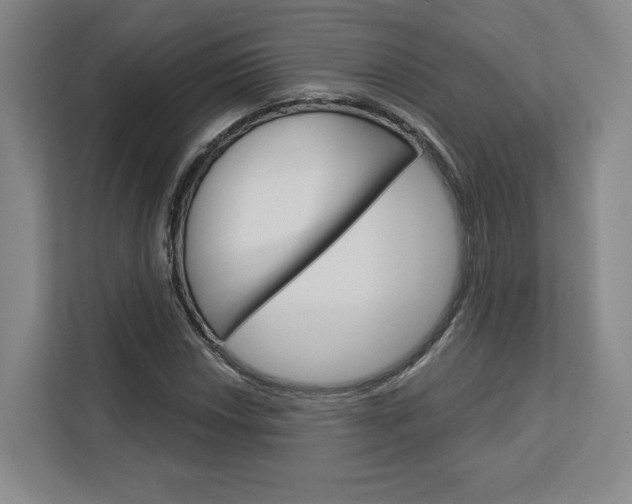 X0000113081018200908280943