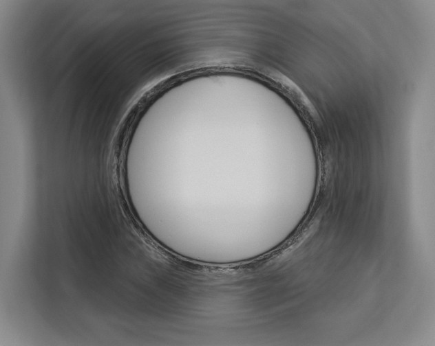 X0000113081019200908280943