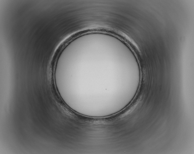 X0000113081021200908280943