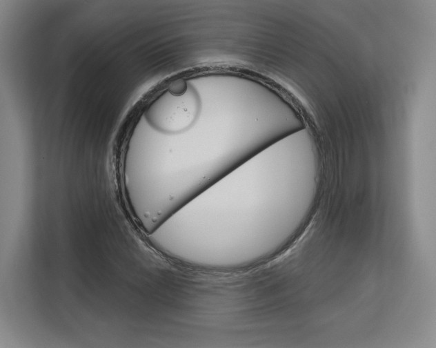 X0000113081022200908280943