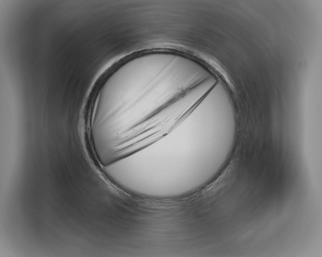 X0000113081024200908280943