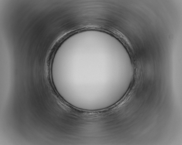 X0000113081027200908280943