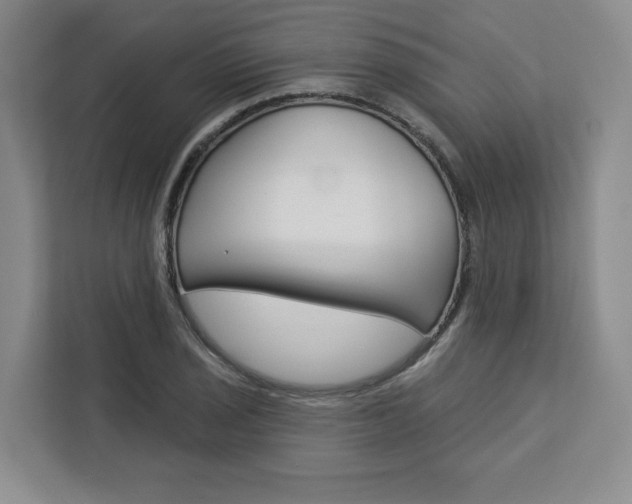 X0000113081029200908280943