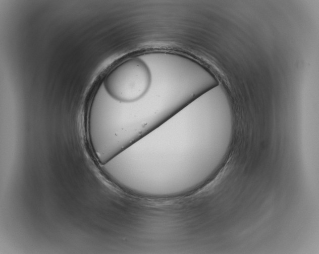 X0000113081030200908280943