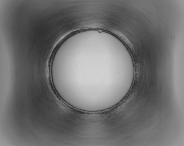 X0000113081031200908280943