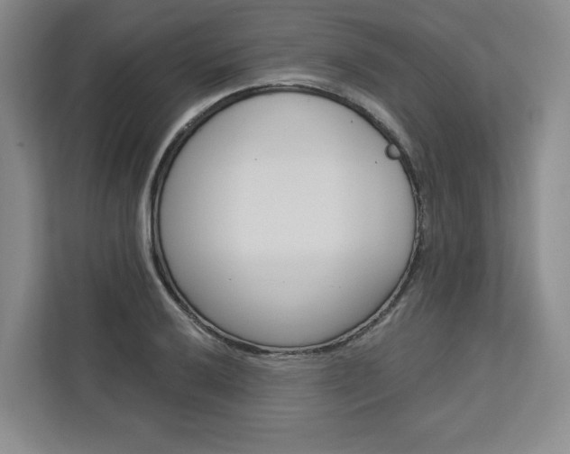 X0000113081032200908280943