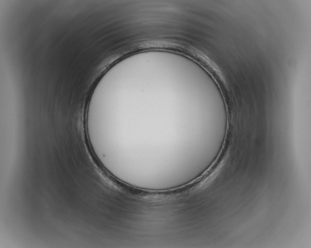 X0000113081033200908280943