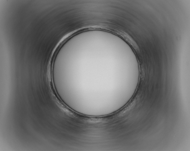 X0000113081036200908280943