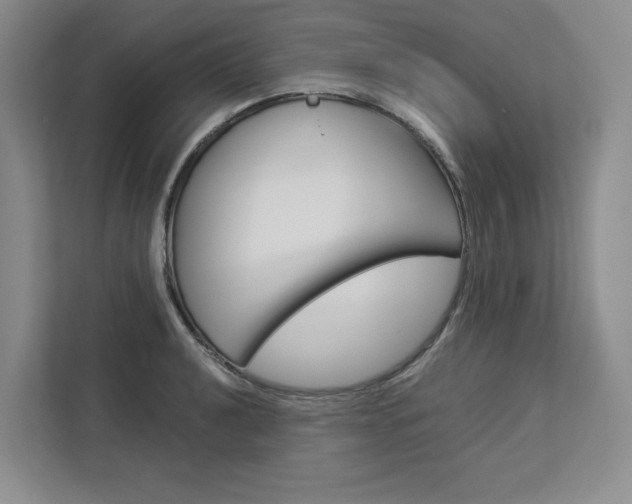 X0000113081040200908280943