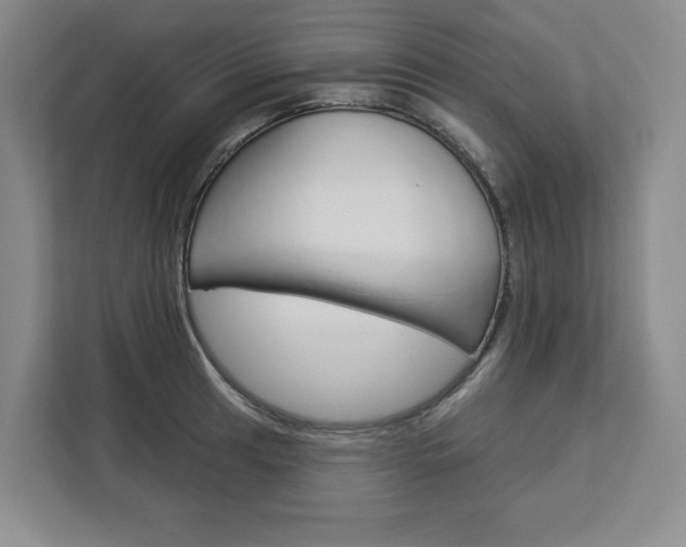 X0000113081041200908280943