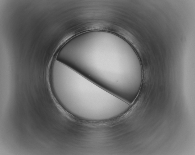 X0000113081042200908280943