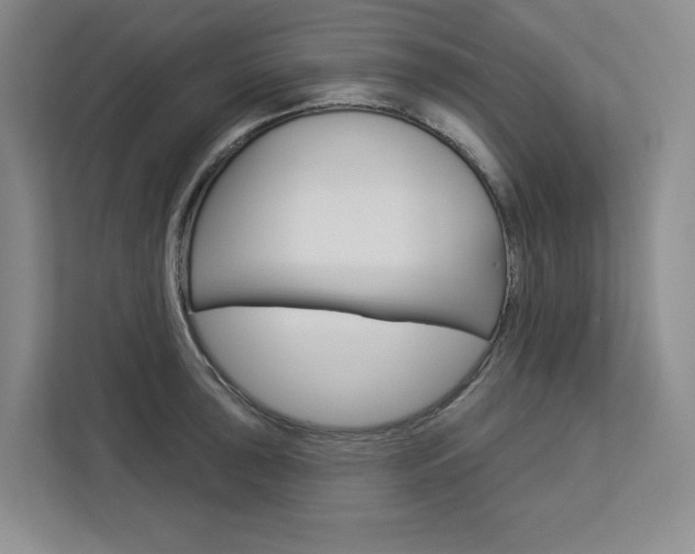 X0000113081043200908280943
