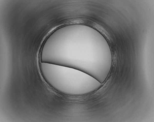 X0000113081047200908280943