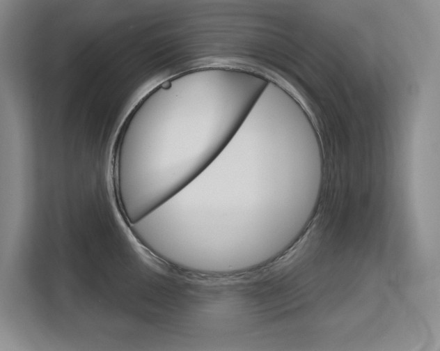 X0000113081050200908280943