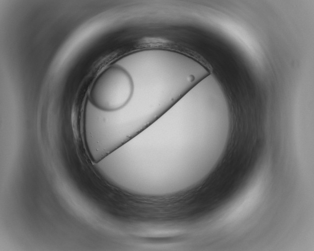 X0000113081054200908280943