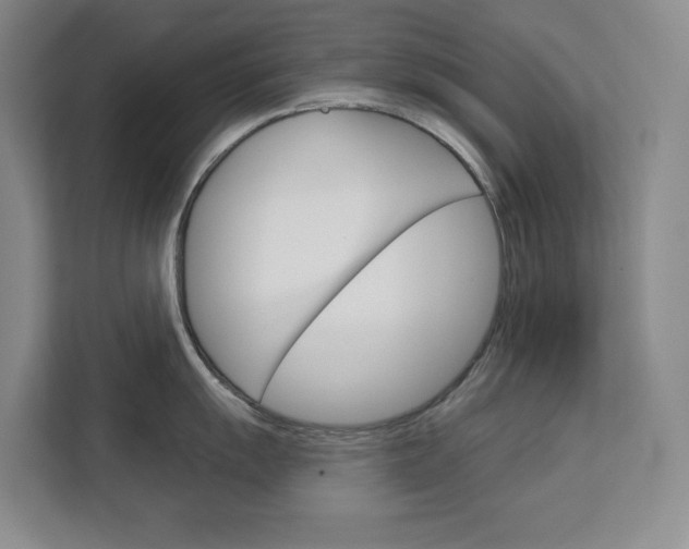 X0000113081055200908280943