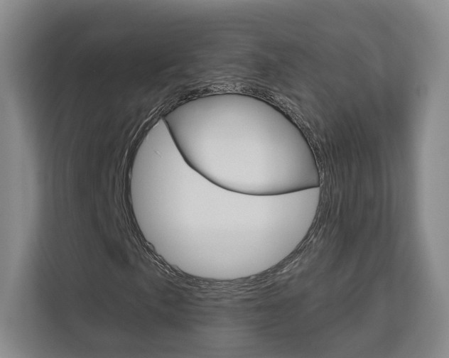 X0000113081057200908280943