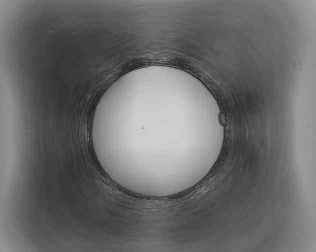 X0000113081058200908280943