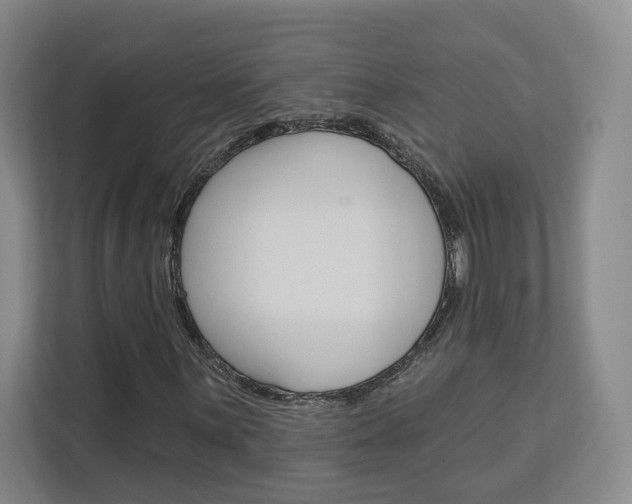 X0000113081059200908280943