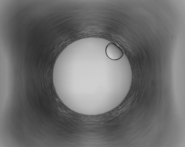 X0000113081060200908280943