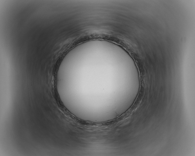 X0000113081061200908280943