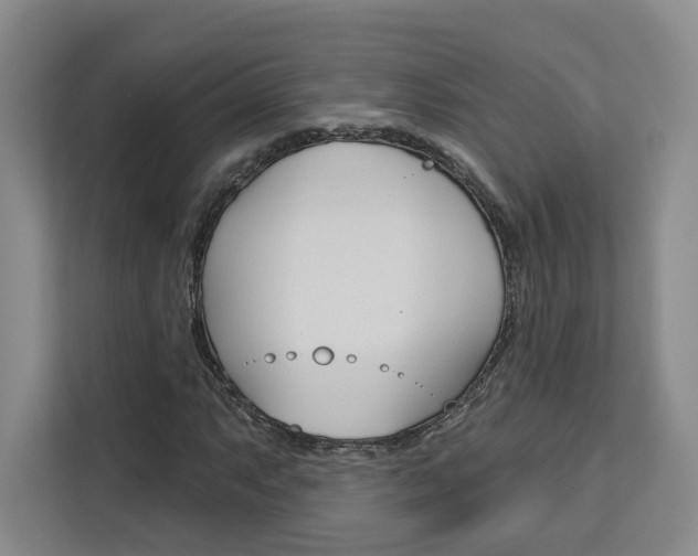 X0000113081063200908280943