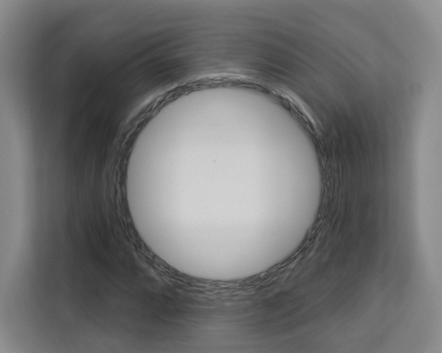 X0000113081064200908280943