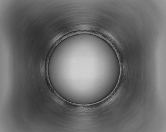 X0000113081065200908280943