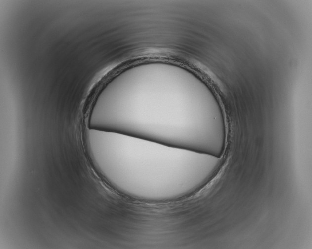 X0000113081066200908280943