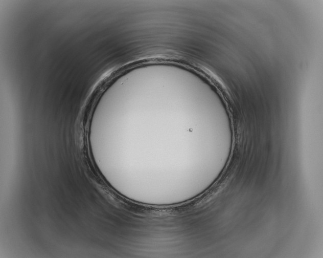 X0000113081067200908280942